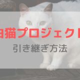 【機種変更】白猫プロジェクトの引き継ぎのやり方｜SNS連携またはメールアドレス登録
